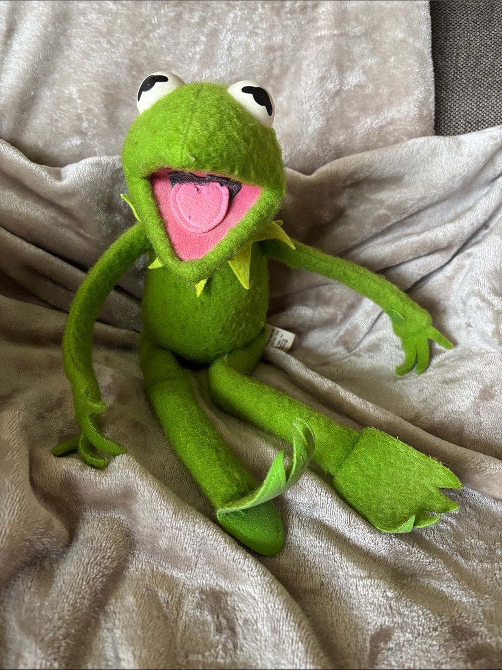Fisher-Price Green Kermit the Frog Plush with Pink Mouth